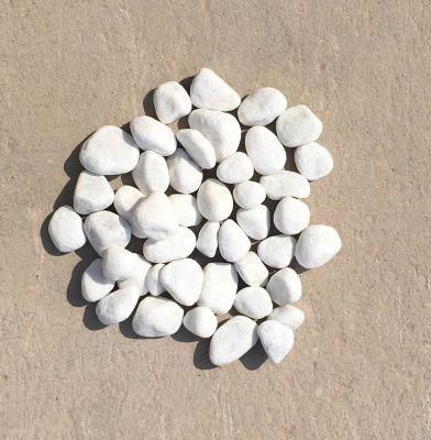 Snow White Pebble---Beautiful Pure White