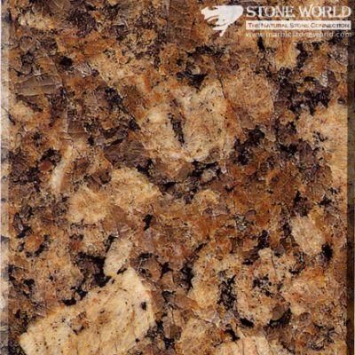 Polished Giallo Fiorito Granite Tiles for Flooring &amp; Wall (MT032)