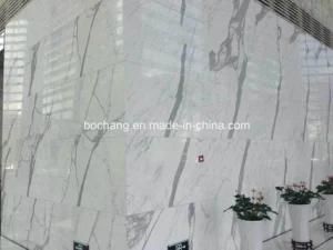 Calacatta Marble for Wall Floor Tile Slab