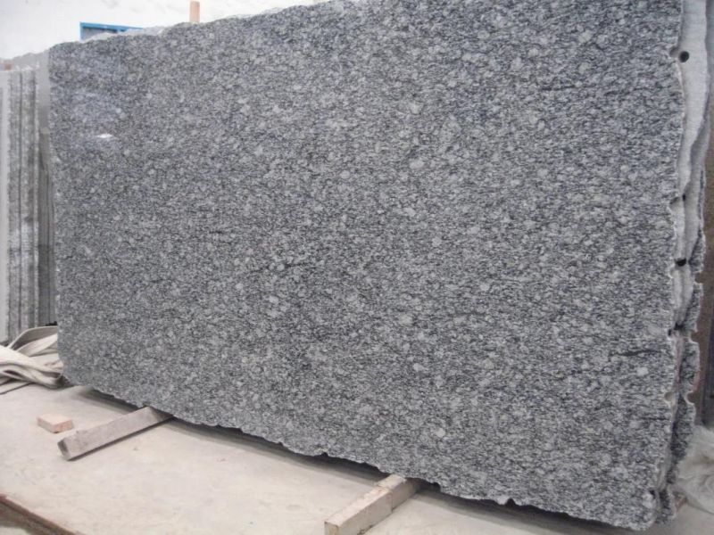 Seawave Flower Granite Chinese Natural Grey Granite Big Polished Slabs