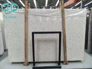 Modern Designed Colors Terrazzo Flooring &amp; Wall Tile