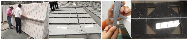 Natural Stone polished/honed/antique/leather Andromeda Granite countertops for interiors/indoor decoration