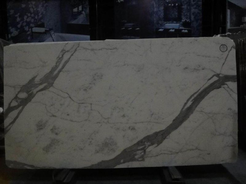 High Quality Calaeatta White Marble, Marble Tiles and Marble Slabs