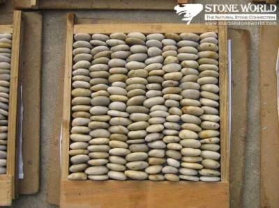 Natural White Pebble on Mesh for Paving