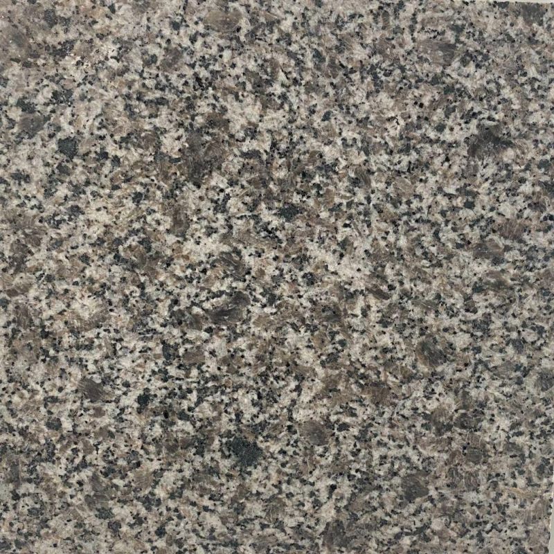 Grey and Hard Granite with Cheap Building Materials for Building Exterior Design