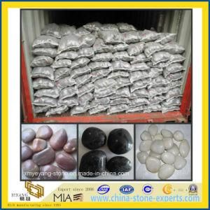 Pebble Stone &amp; River Cobble for Landscape / Garden Paving (YYL)