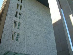 White Marble, Wooden White Slab, Marble Slab, Wooden Vein Marble