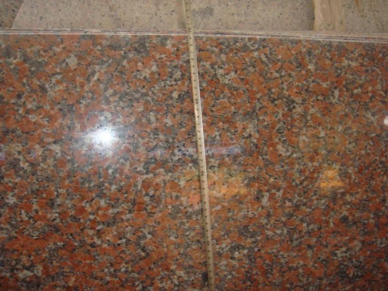 Cheap 24 X 24 Polished G562 Maple Red Granite Tile