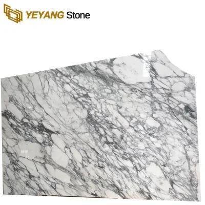 High Quality Polished Arabescato White Marble for Wall/Floo/Tiles/Kitchen/Bath/Counter/Tops
