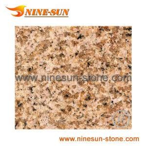 800X800 Golden Yellow Granite (YX-G547)