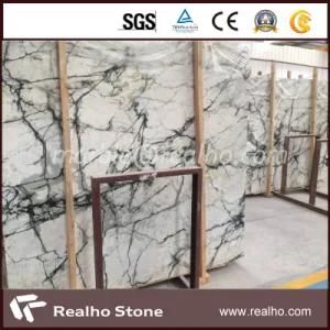 Polished Blue Sky White Marble Slab From China
