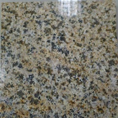 China Top Yellow Granite/Zhangpu Rusty Yellow Granite/Zhangpu Rusty Yellow Granite for Floor/Background
