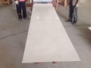 White Mirror Fleck Quartz-P005-Countertop