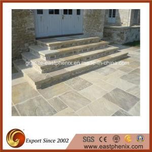 Beautiful Natural Flooring/Step Paving Stone