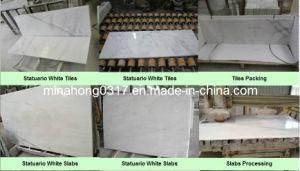 Statuary White/Guangxi White/ White Jade/White Marble/Polished Marble for Mosaic/Tiles/Slabs/Countertop/Irregulat Shape