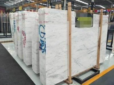 Newest White Carrara Marble Tiles for Wall and Flooring