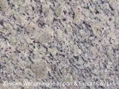 Top Quality Polished Granite Tile and Granite Slabs for Floor and Wall