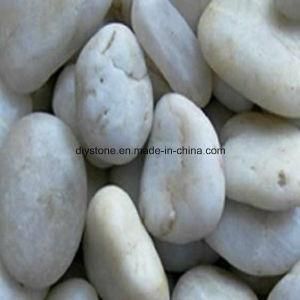 White Loose Pebble Decoration