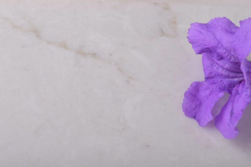 High Gloss Table Tops of Artificial Quartz Stone