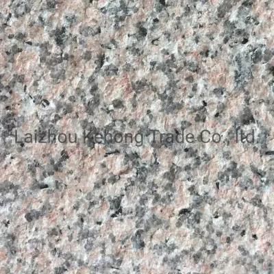Can Be Used for Wall, Ground, Square, Steps Natural Granite Building Panels