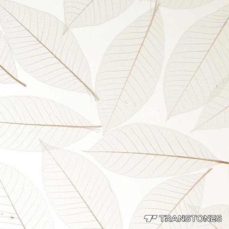 Transtones 3mm PMMA High Hardness Acrylic Hotel Wall Sheet