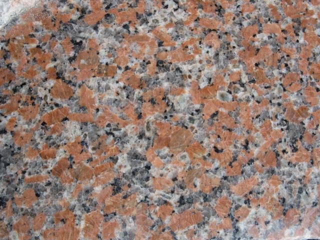 China G562 Maple Red Indoor Wall Tile Granite Nature Stone