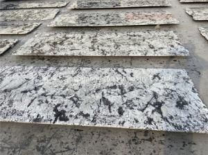 Splendor White Granite for Kitchen Tops