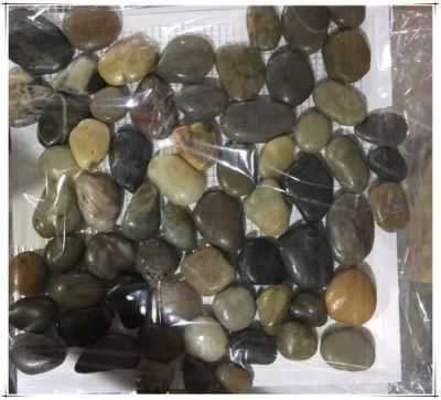 Supply High Quality Mixed Colorful Pebble Stone with Cheapest Price for Gardern Decoration