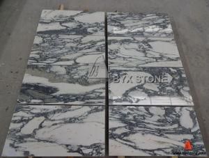 Arabescato Corchia Chinese White Marble Tile with Black Veins