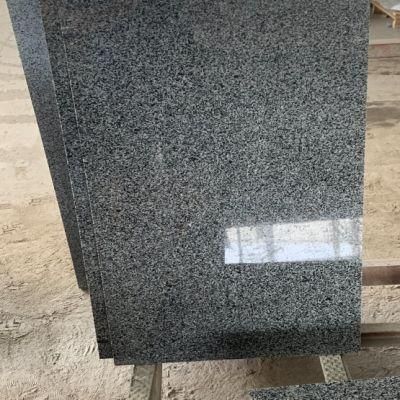 Lower Price Granite Slabs Natural Stairs Granite Outdoor Tiles for Living Room