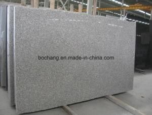 Chinese Polished Granite G636 for Flooring and Wall Tiles