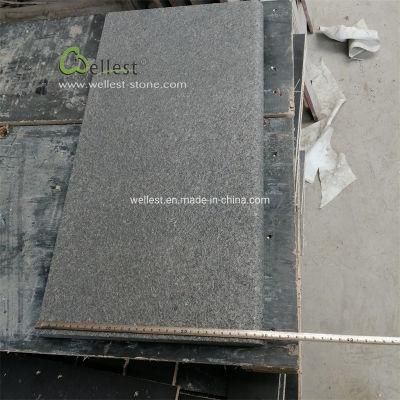 New G684 Black Granite Bullnose Pool Coping