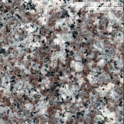 Polished Misty Brown G664 Granite Tiles for Flooring &amp; Wall (MT015)