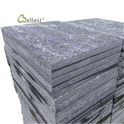 Qt020 Black Quartzite Stone Tile, Natural Patio Pavers, Plaza Black Quartzite Pavement