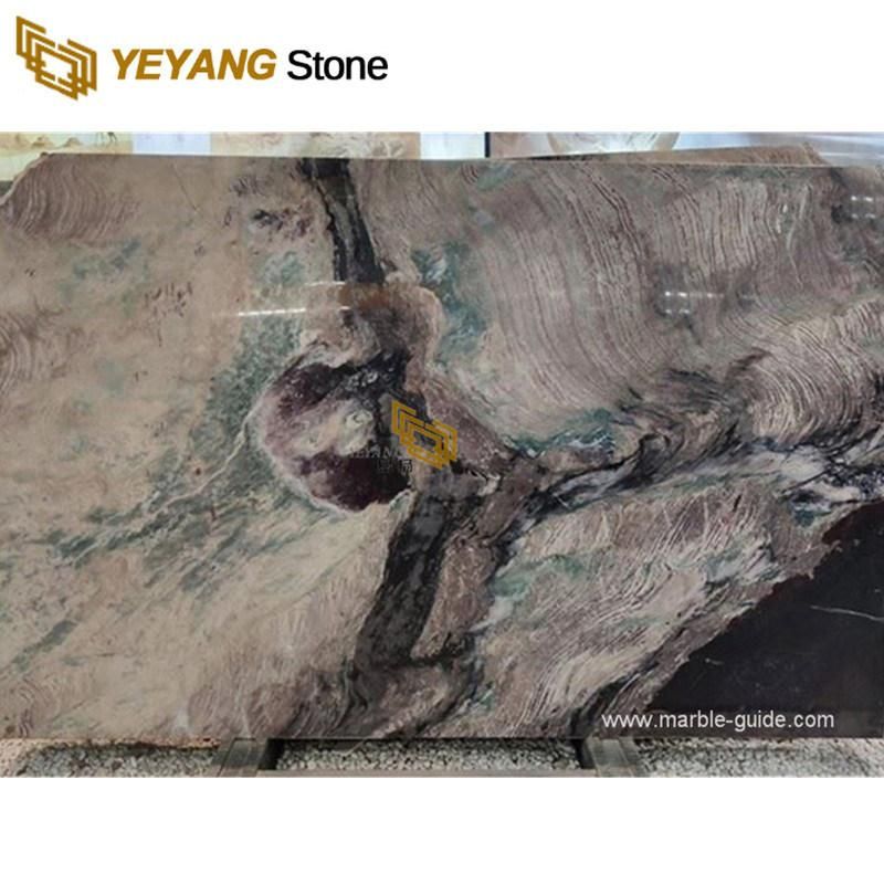 Brown/Green/Beige/White/Red/Black Violet Blaze Marble for Floor/Countertop/Vanity/Table Background/Wall