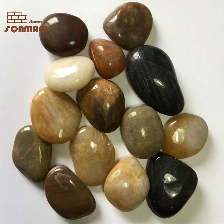 Natural Decorative Colored Pebble Stone