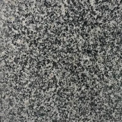 New Cheap Grey Granite for Polished and Flamed Tile