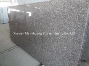 Popular G664 Bainbrook Brown/Misty Brown Granite Big Slabs