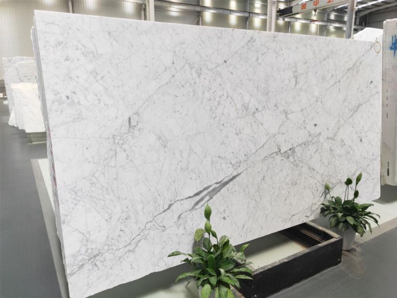 Snow White Stone Marble for Flooring Tiles Slabs Countertops/Worktops/Vanitytops