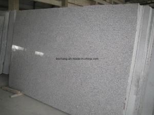 G603 Grey Granite Big Slab
