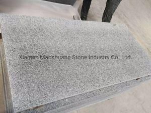 Outdoor Flamed G654 Sesame Black Granite Paving Slab