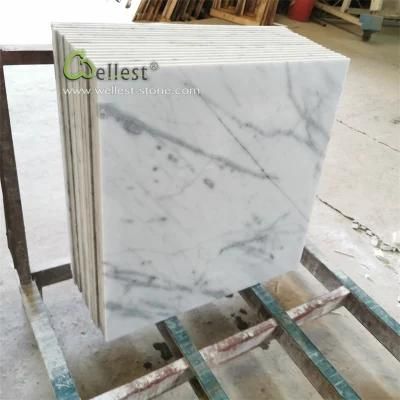 Elegant White with Vein Marble Tile with Honed Finishing