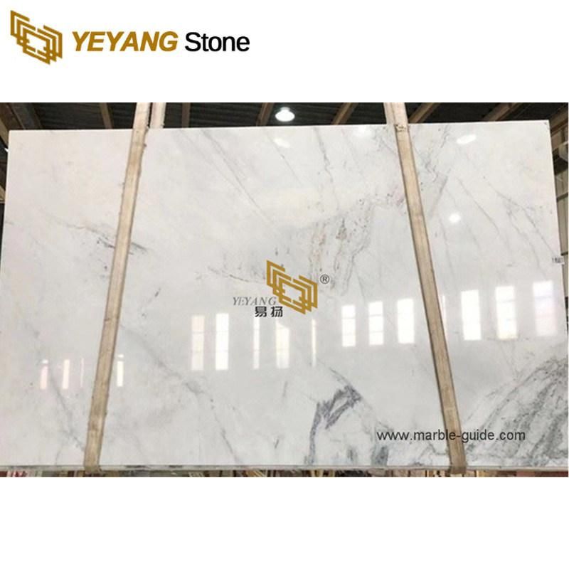 China White Venus Marble Tiles for Staircase/Flooring/Wall/Slabs/Countertops/Tabletop Home Decoration