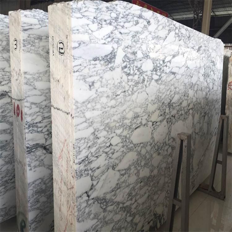 China Cheap Polished White Stone Arabescato Corchia White Marble