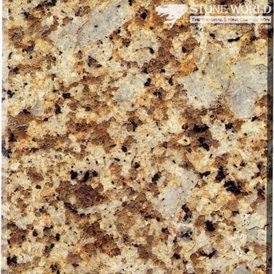 Polished Giallo Amazon Granite Tiles for Flooring &amp; Wall (MT031)