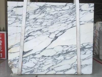Polished/Honed White Marble Slabs/Kitchentop Italian Arabascata/Volokas/Calacutta Gold Marble