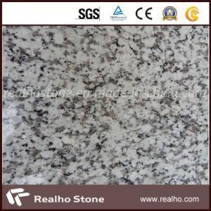 Good Price Polished and Flamed New Seasame White G665 Granite for Floor Tile and Countertop
