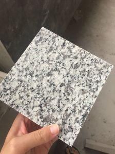 Stellar White/Luna Pearl/Jilin White Granite for Slabs, Tiles and Countertops