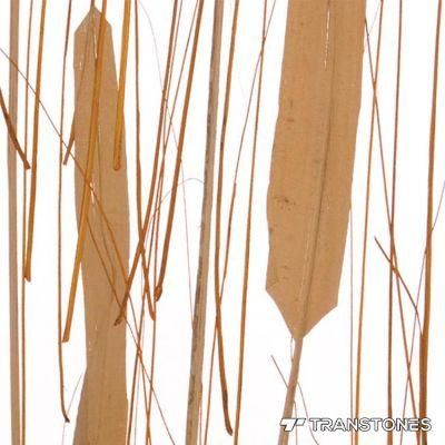 Natural Plant Colorful Pattern Acrylic for Wall Panels