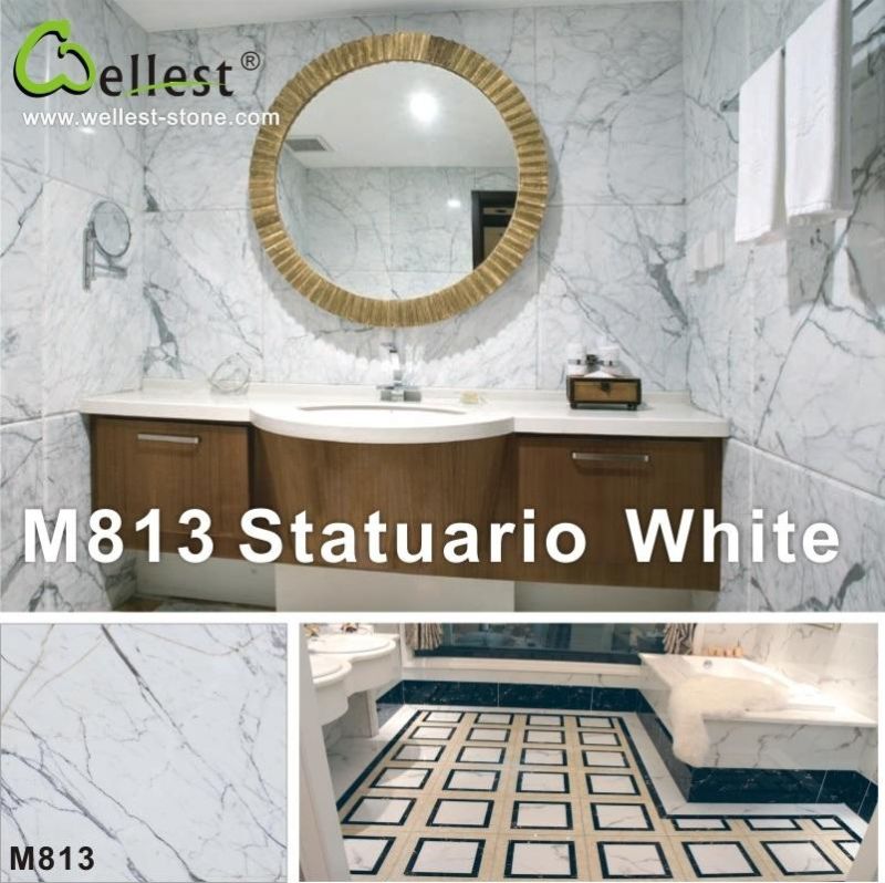 Different Beautiful Panda/Statuario/Carrara/Arabescato Corchia/Volakas White Marble for Hotel and Villa House